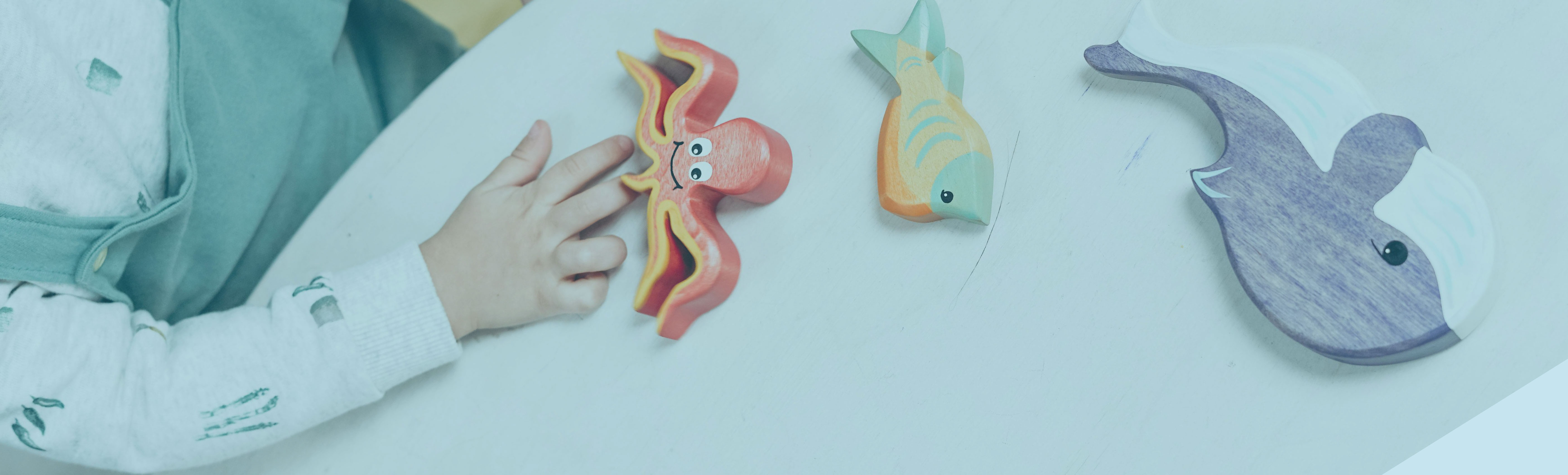 Banner 7